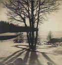  / V zimě / Josef Sudek