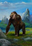  / Gigantopithecus Blacki / Petr Modlitba