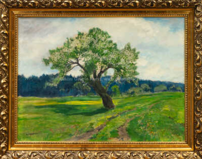 Gustav Macoun - Kvetoucí strom